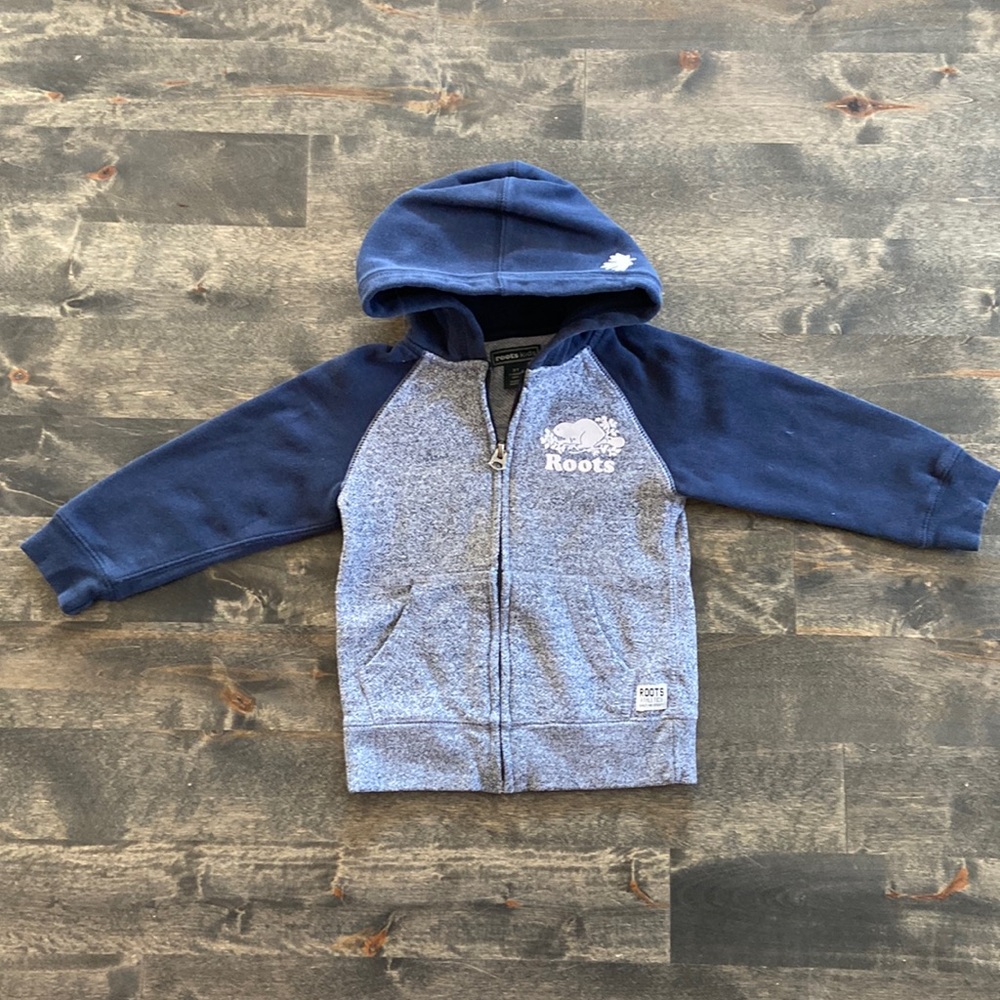 Roots Blue and Gray Kids Hoodie